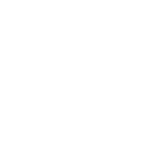 Logo FS31 2025 FSBW Weiß